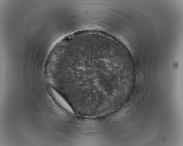 X0000091960975200709201340