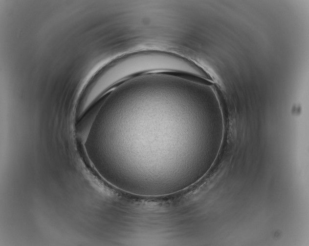 X0000091960976200709201340