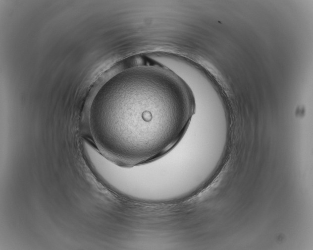 X0000091960977200709201340