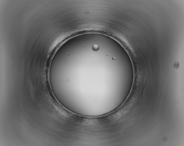 X0000091960978200709201340