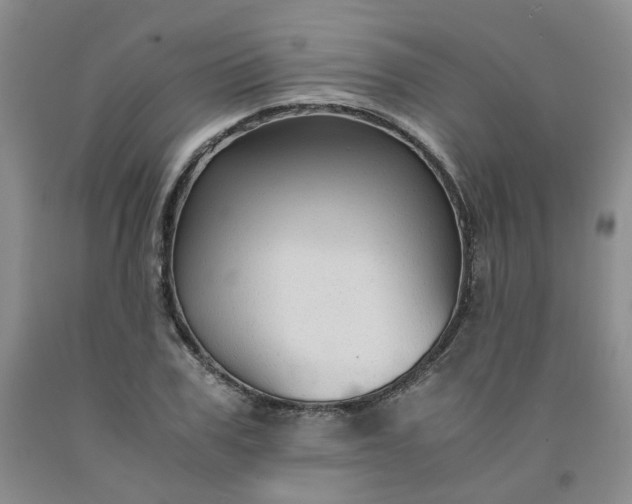 X0000091960979200709201340