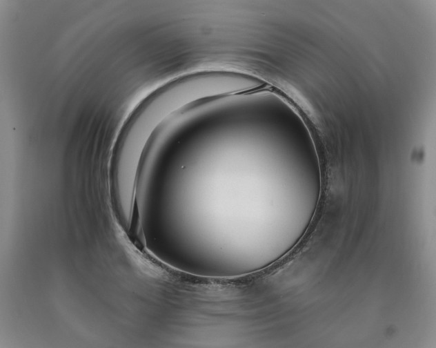 X0000091960980200709201340