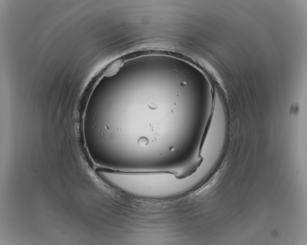 X0000091960981200709201340