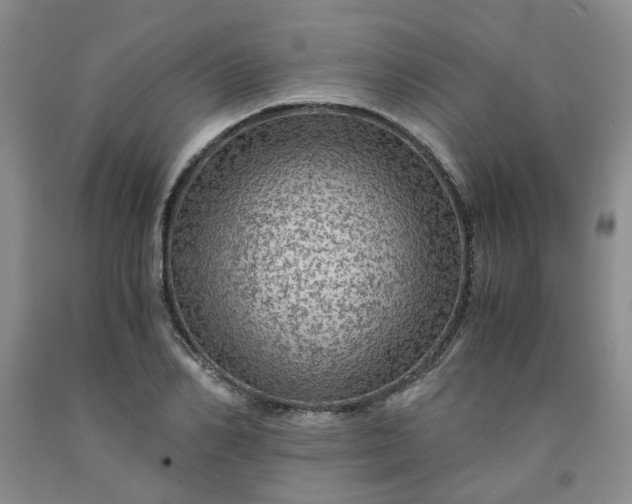 X0000091960982200709201340