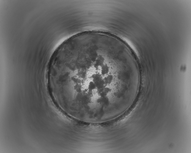 X0000091960983200709201340