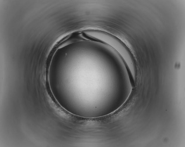 X0000091960984200709201340