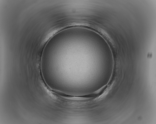 X0000091960985200709201340