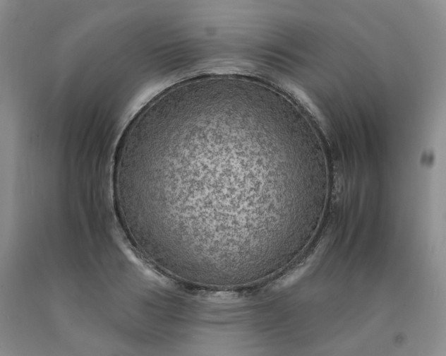 X0000091960986200709201340