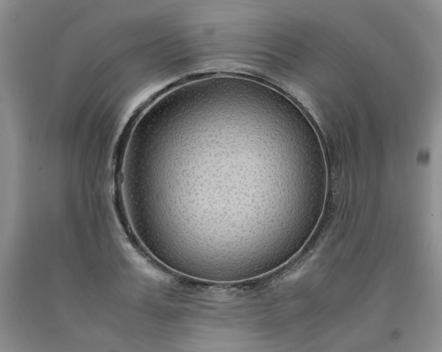 X0000091960987200709201340