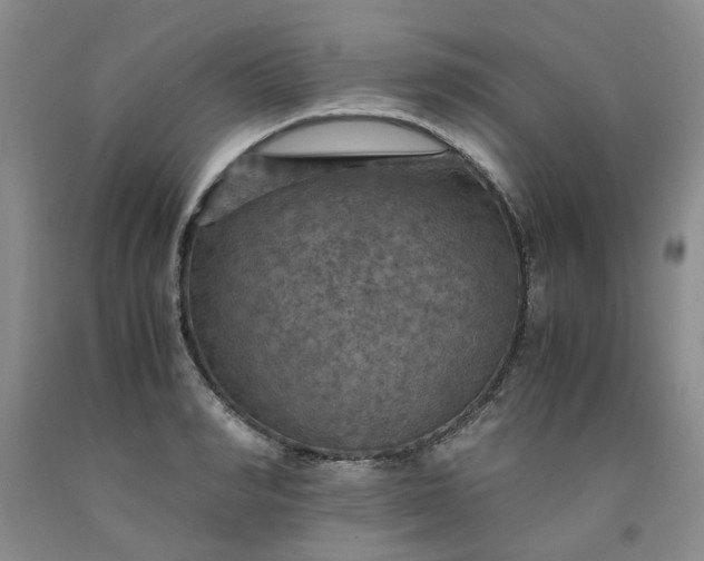 X0000091960990200709201340