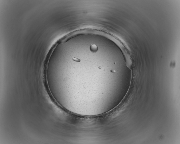 X0000091960991200709201340