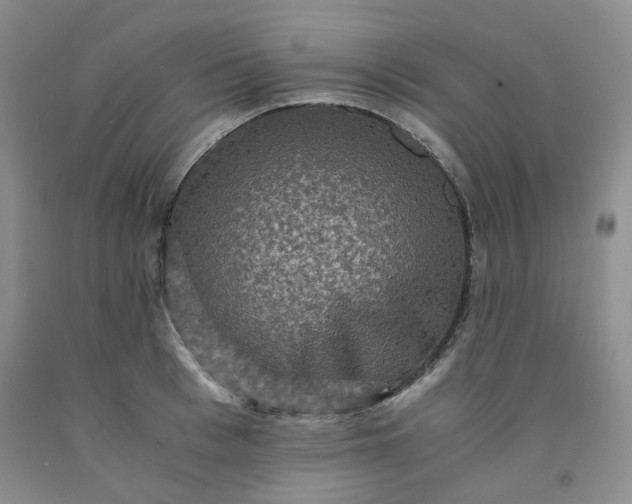 X0000091960993200709201340