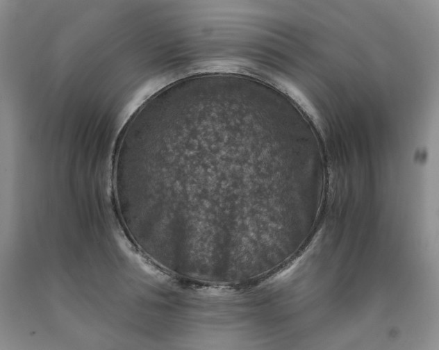 X0000091960994200709201340