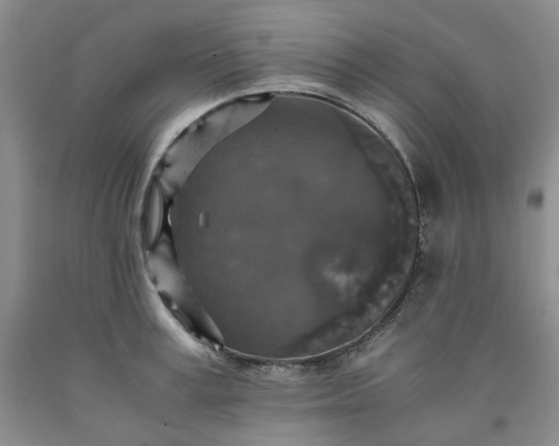 X0000091960995200709201340