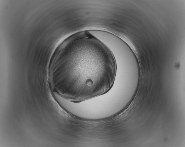 X0000091960996200709201340