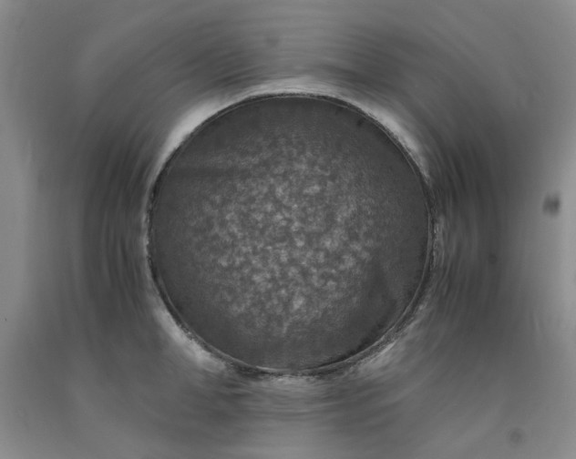 X0000091960998200709201340