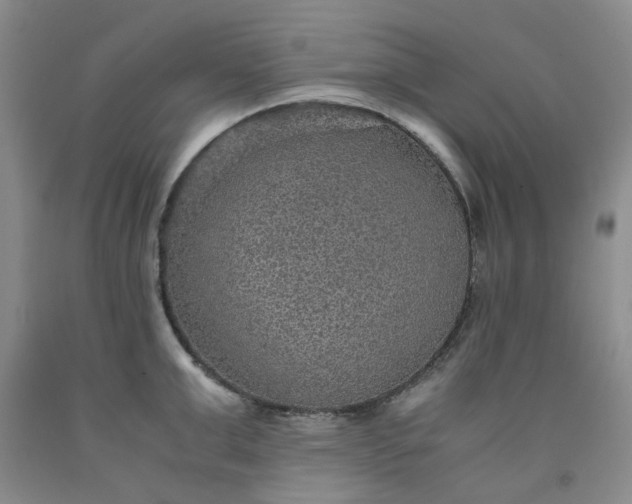 X0000091960999200709201340