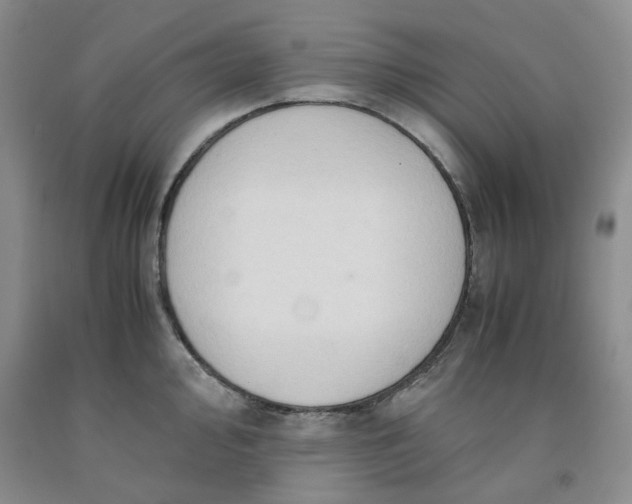 X0000091961000200709201340