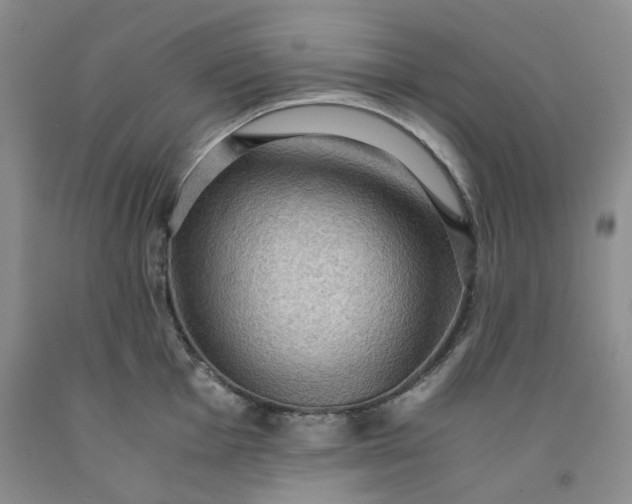 X0000091961001200709201340