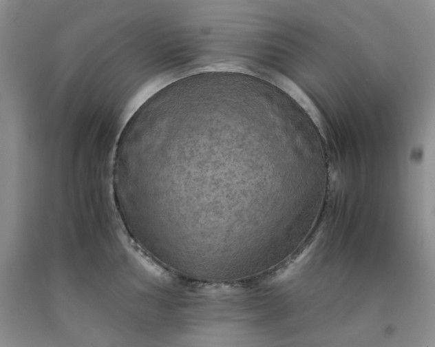 X0000091961002200709201340