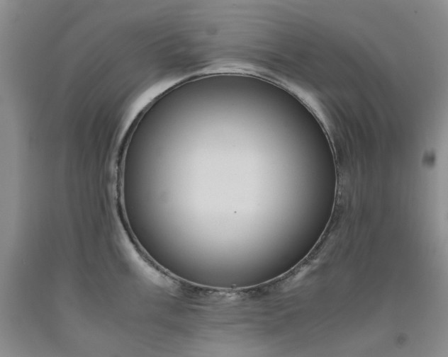 X0000091961003200709201340