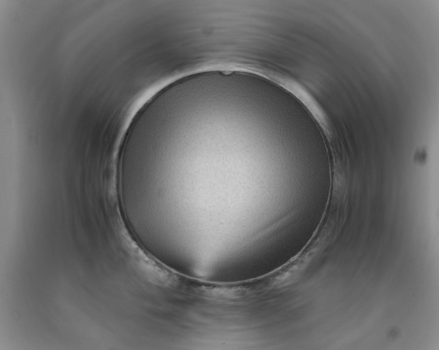 X0000091961004200709201340