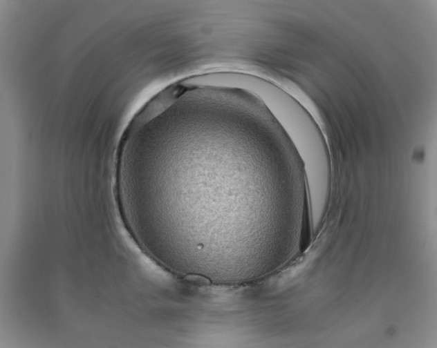 X0000091961005200709201340