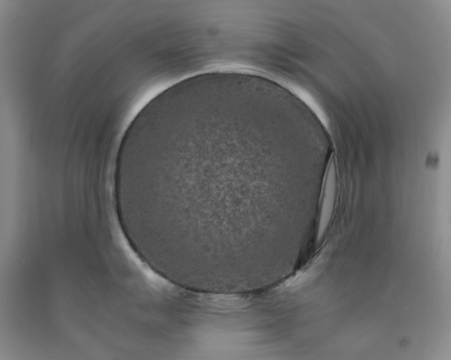 X0000091961007200709201339