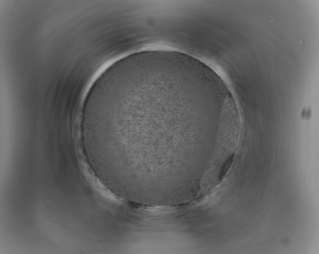 X0000091961008200709201339