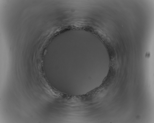 X0000091961009200709201339