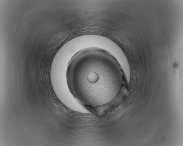 X0000091961010200709201339