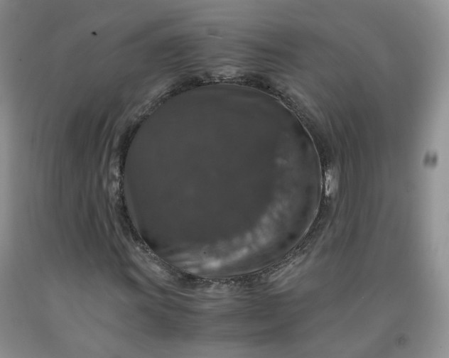 X0000091961011200709201339