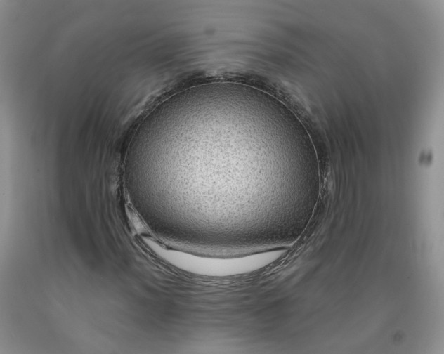 X0000091961012200709201339