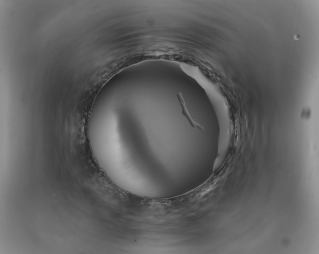 X0000091961013200709201339