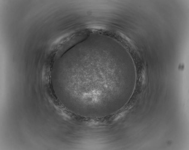 X0000091961014200709201339