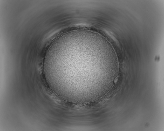 X0000091961015200709201339