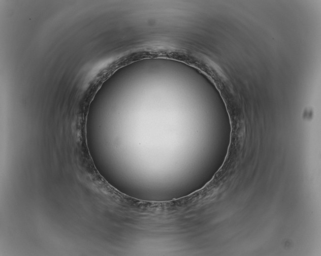 X0000091961016200709201339