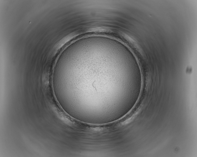 X0000091961017200709201339