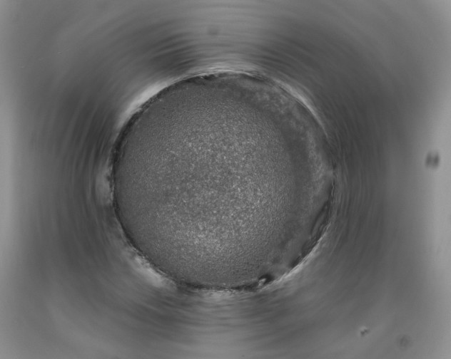 X0000091961018200709201339