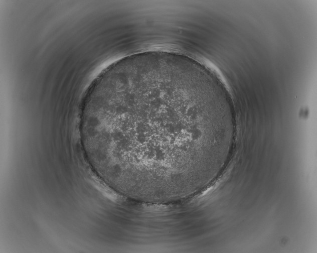 X0000091961019200709201339