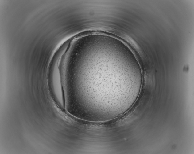 X0000091961020200709201339