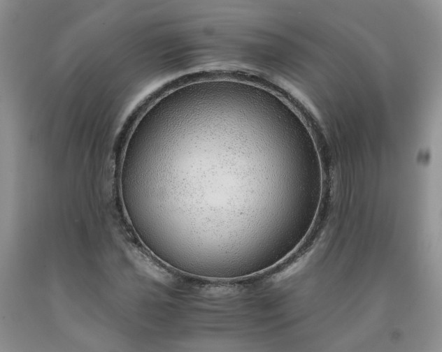 X0000091961021200709201339