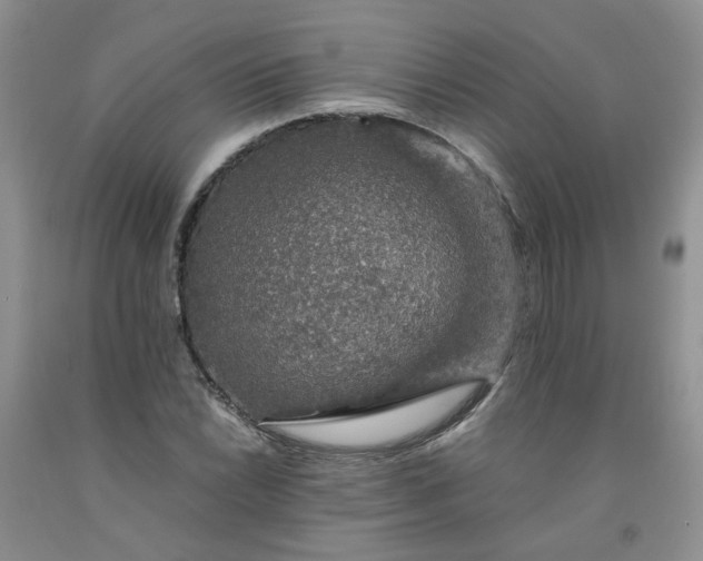 X0000091961022200709201339