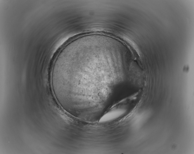 X0000091961023200709201339