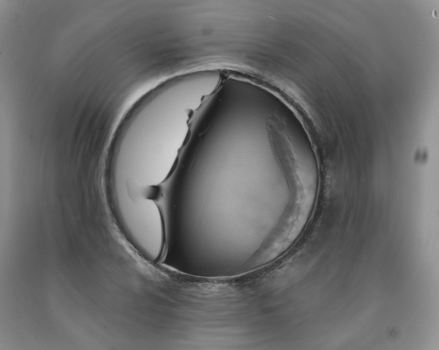 X0000091961024200709201339