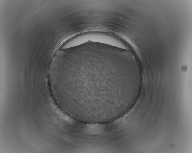 X0000091961025200709201339