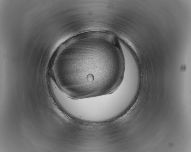 X0000091961026200709201339