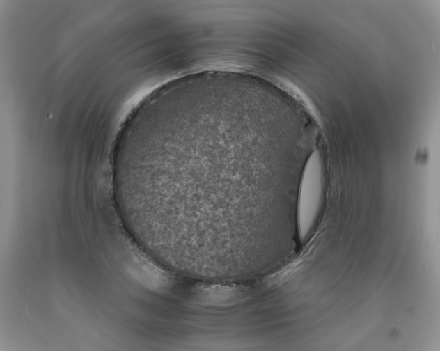 X0000091961027200709201339