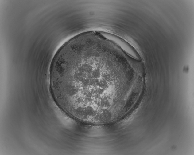 X0000091961028200709201339