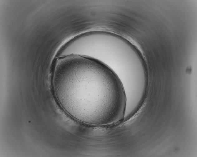 X0000091961029200709201339